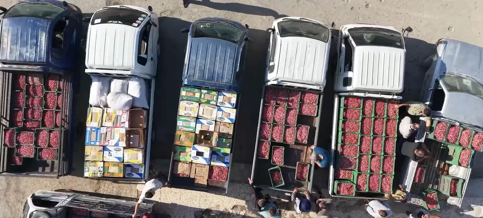 من سوق الفستق  